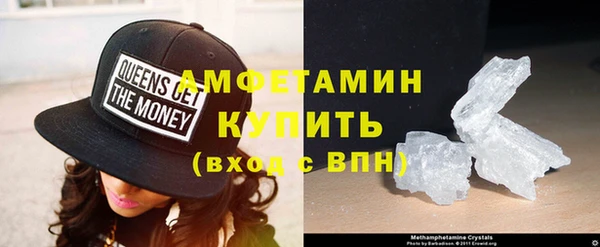прущие грибы Приозерск