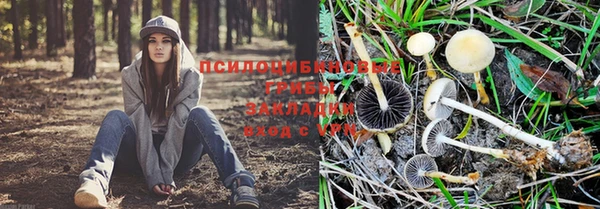 Альфа ПВП Пролетарск