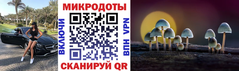 Галлюциногенные грибы мицелий  Купить закладки  Алзамай 