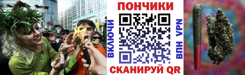 Купить закладки  Алзамай  Конопля конопля 